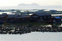 芦浦海上养殖基地区域04.