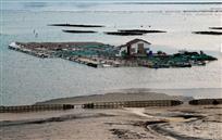 芦浦海上养殖基地区域02