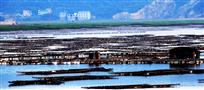 芦浦海上养殖基地区域0