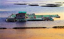 芦蒲地貌水中映01