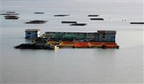 海上渔家