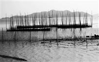 景中墨画