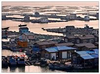 海岛养殖 (组照)