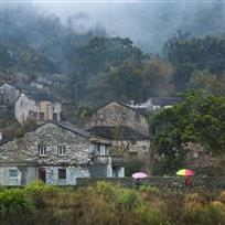 雾拢乡居又一村