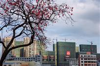 城市建设硕果累累