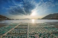大海的馈赠
