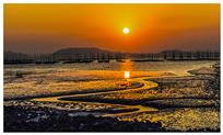 夕照滩涂