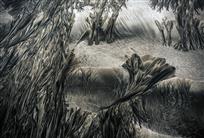 《一沙一世界》