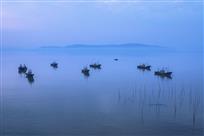 《鲜迭晨晓》