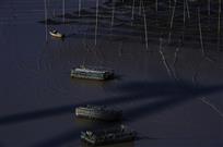 春江潮水连海平