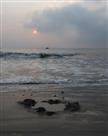 后浪推前浪