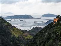 《魅力港湾》