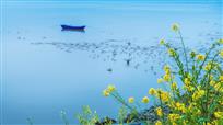 海湾养殖