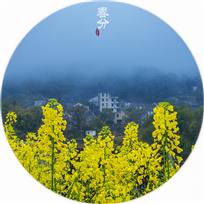 江南春色