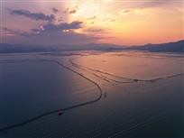 海上农场
