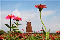 花季的湿地公园