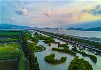 漩门湾湿地