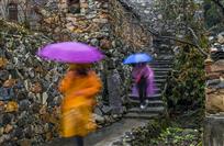 《古居春雨》