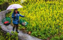《雨送春归》