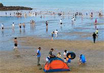 夏日后沙