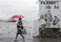 雨中即景