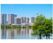 生态城市