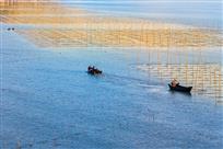海水养殖