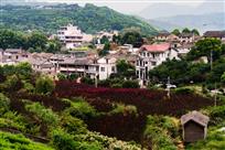 魅力山里村