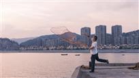 一网打尽