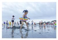 兴致正浓