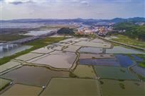五彩滩涂