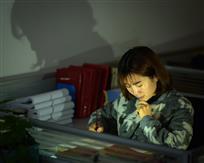 园丁的一天（组）