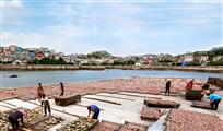 收魚鲞