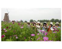 女人如花