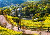 春到山里（组照）