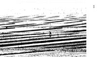 海韵