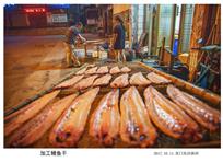加工鳗鱼干