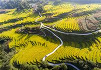 致富路