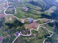 多彩大地