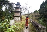 石桥新人