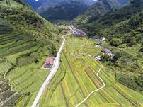 师家嵌花海