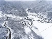 蟒蛇上山