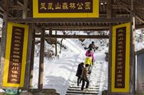 登凤凰山