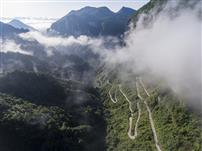 山路弯弯