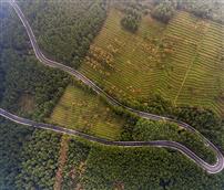 公路之美