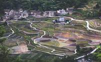 暨龙梯田