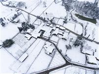 雪村