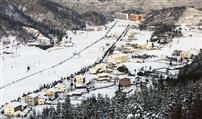 新农村气象