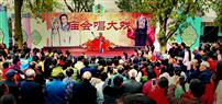 庙会唱大戏