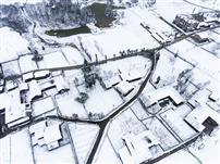 瑞雪